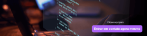 Software Developer
